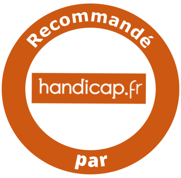logo handicap