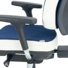 EVAFLEX-BICOLORE-BLEU-BLANC_MG_3040-recadree-carree-cut-220x220 Comment améliorer votre posture au travail avec un siège adapté ?